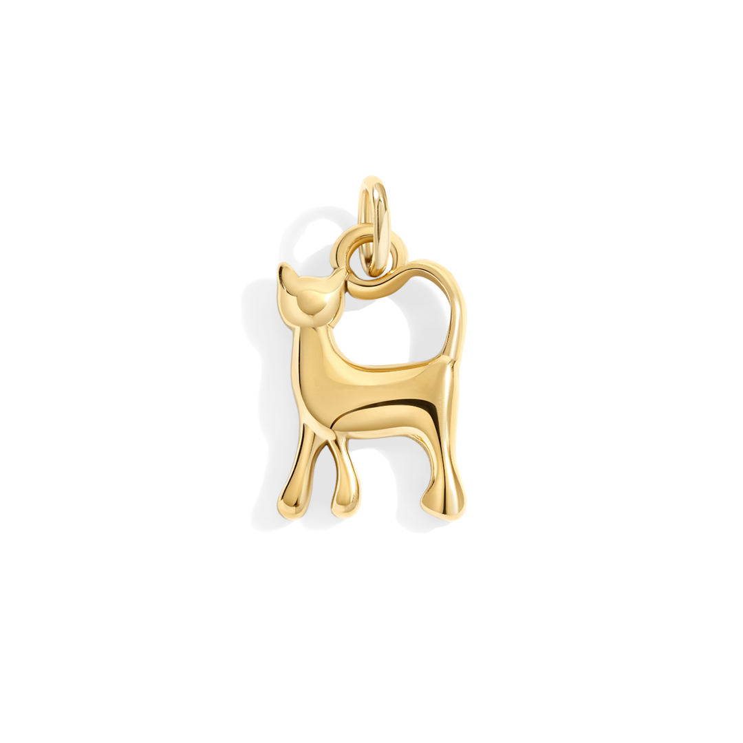 Cat Charm