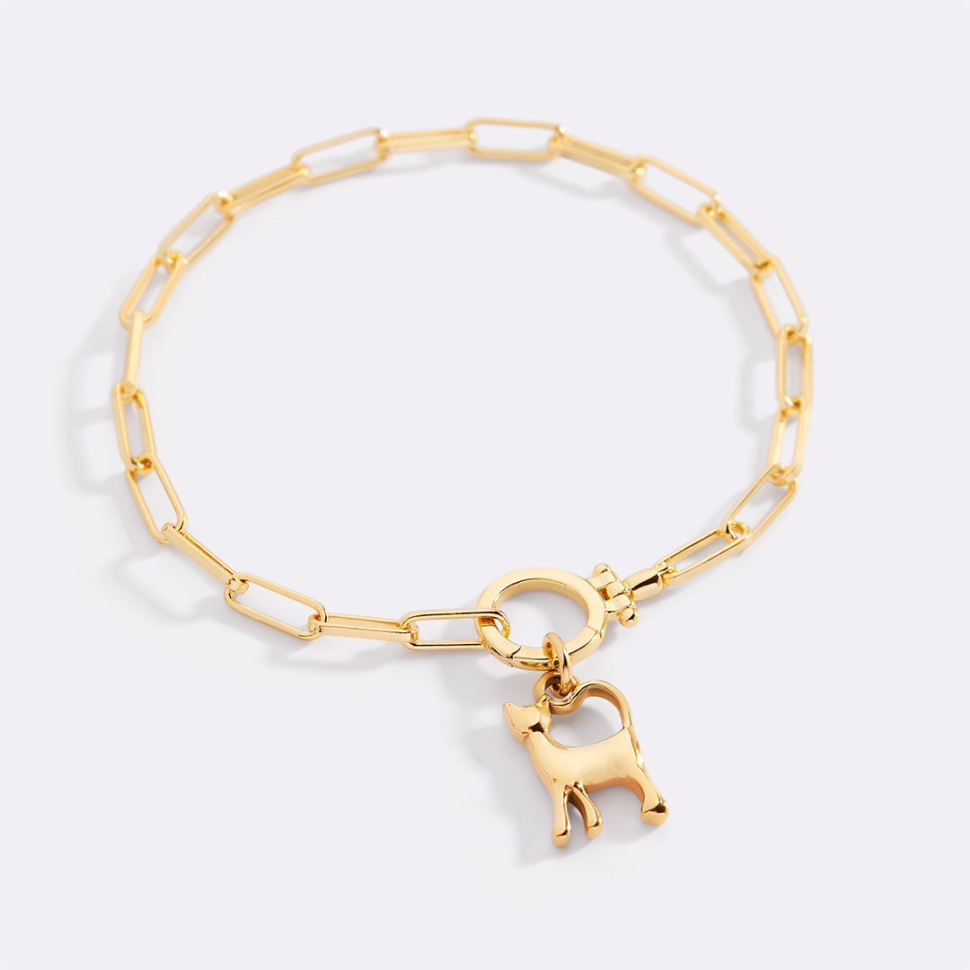 Cat Charm