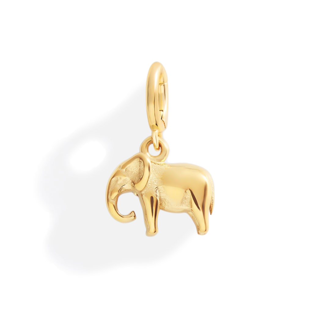 Good Luck Elephant Charm