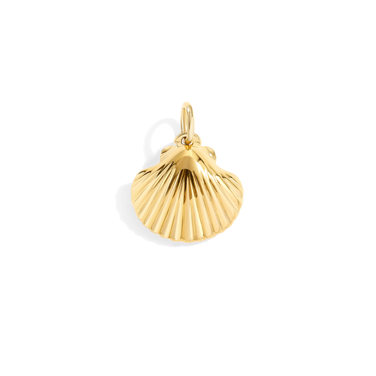 Shell Charm