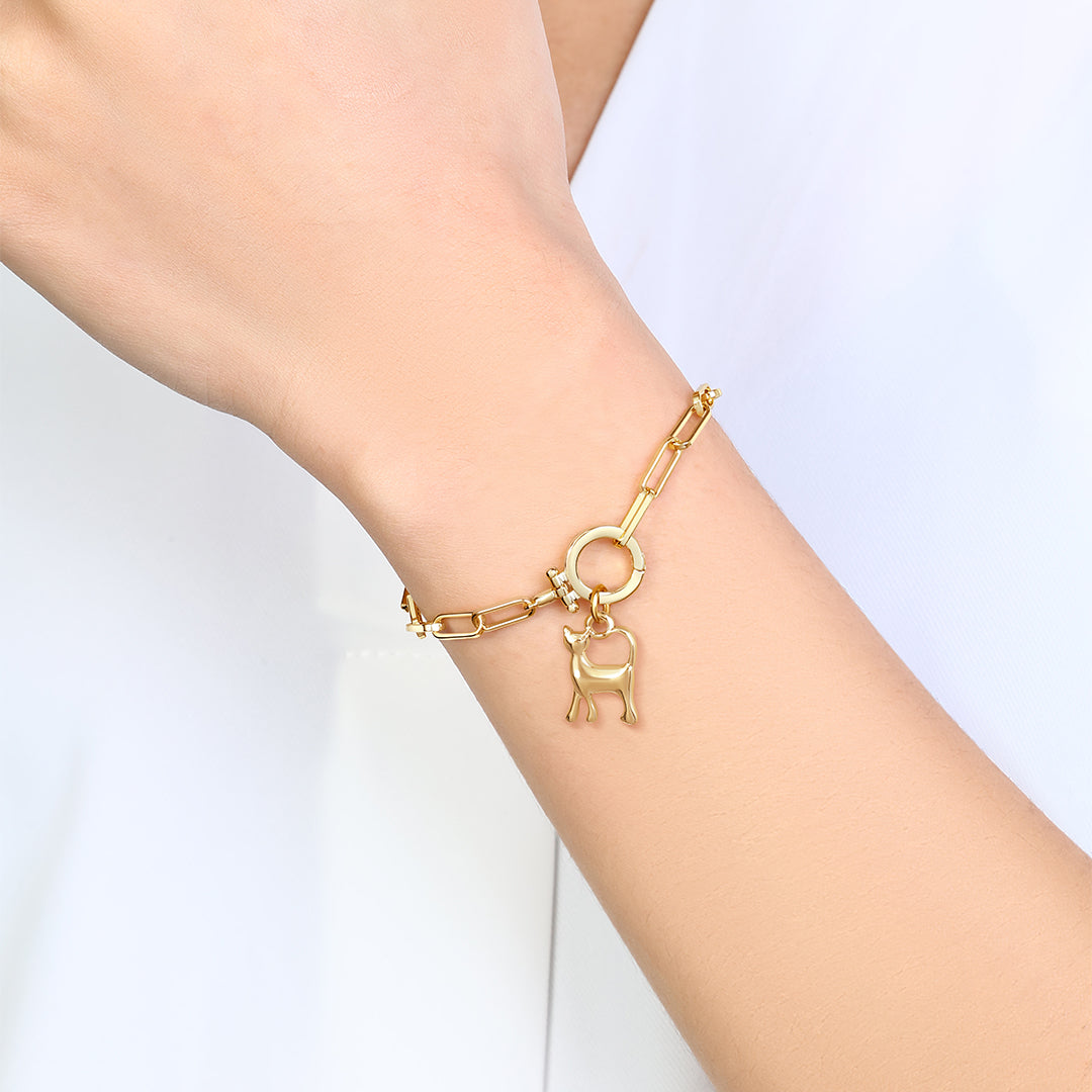 Cat Charm